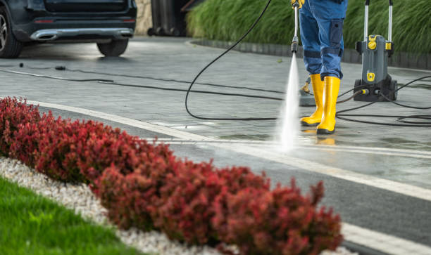 Best House Exterior Washing  in Harvard, NE